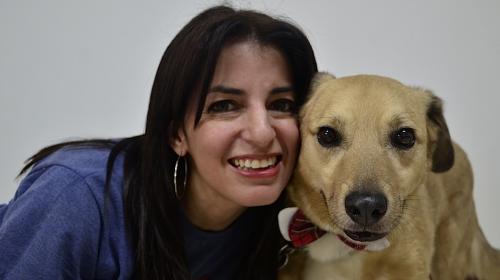 Mitos y verdades de tener un perrito como mascota