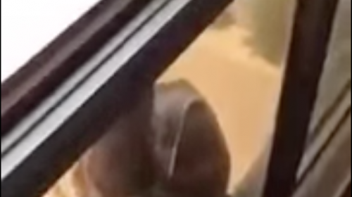 Una mujer pide ayuda para no caer, pero su jefa solo la graba en video