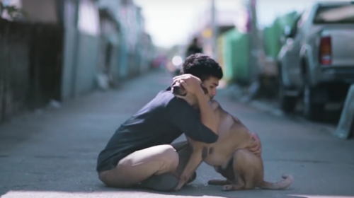 Mira esta emotiva campa&ntilde;a viral para rescatar perros callejeros