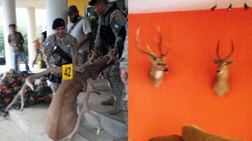 PNC hace nuevos hallazgos en operativos contra defraudación