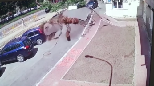 La Tierra tembl&oacute; por la impactante explosi&oacute;n de una tuber&iacute;a en Ucrania