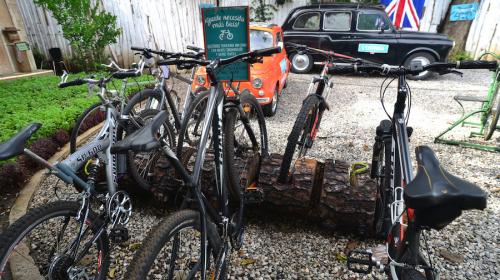 Usa bicicleta: ¡ahorra tiempo y dinero!