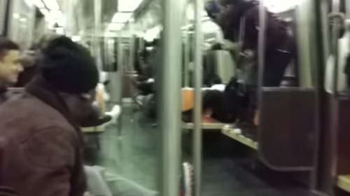 Una peque&ntilde;a rata causa p&aacute;nico en un metro de Nueva York