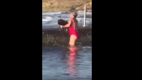 Por esta raz&oacute;n una mujer saca a un tibur&oacute;n de una piscina natural