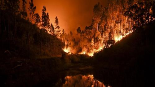 Incendios dejan 31 muertos y m&aacute;s de 50 heridos en Portugal