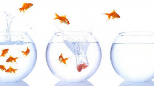 ¿Cómo salir de tu "Zona de Confort Financiero"?