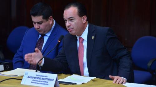 Congreso mantiene con inmunidad al jefe del MAGA