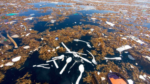 Impacto internacional por las im&aacute;genes del mar de pl&aacute;stico del Caribe 