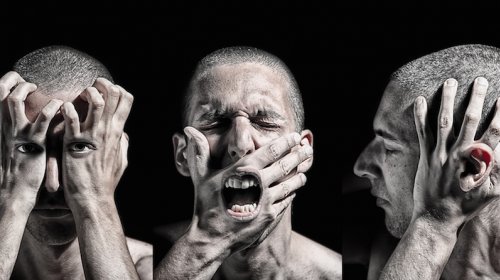 Eres ciego, sordo y un tremendo mudo