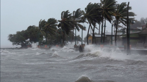Videos muestran la ferocidad del viento provocado por el hurac&aacute;n Irma