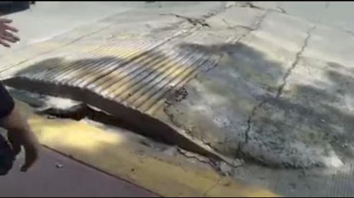 T&uacute;mulo &ldquo;respir&oacute;&rdquo; durante el terremoto que sacudi&oacute; la Ciudad de M&eacute;xico