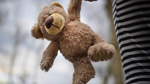 Un ni&ntilde;o ofrece recompensa para recuperar a su amigo m&aacute;s preciado 