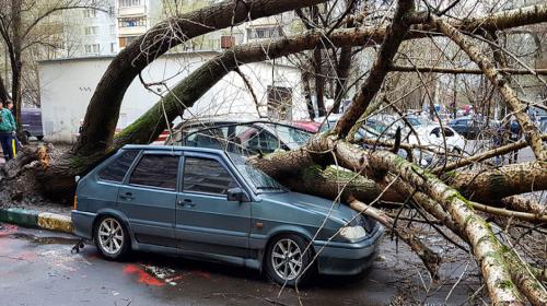 Poderosa tormenta causa muerte de ni&ntilde;a y deja varios heridos en Mosc&uacute;