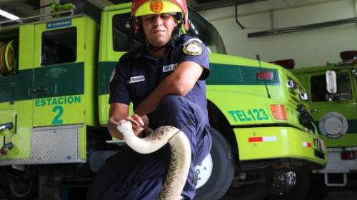 Ins&oacute;lita emergencia atemoriz&oacute; a las personas que desped&iacute;an a Arz&uacute;