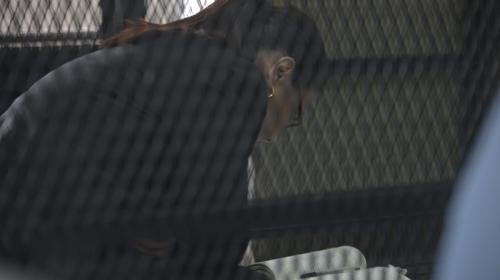  La estrategia de Baldetti para apagar el escándalo del “agua mágica”