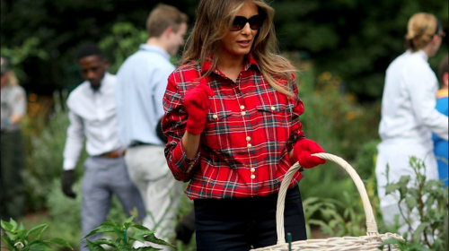 Melania Trump trata de hacer jardiner&iacute;a y es v&iacute;ctima de los "memes"
