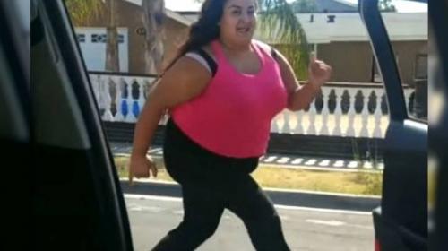 La polic&iacute;a del mundo contra el "kiki challenge"