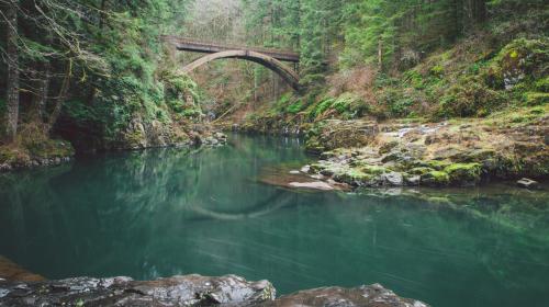 #VIDEO: Imputan cargos a la joven que empuj&oacute; a su amiga de un puente
