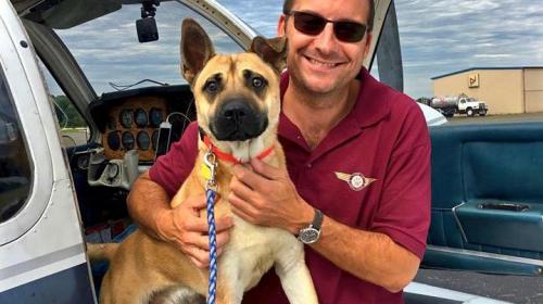 Piloto compra avi&oacute;n para salvarle la vida a miles de perros