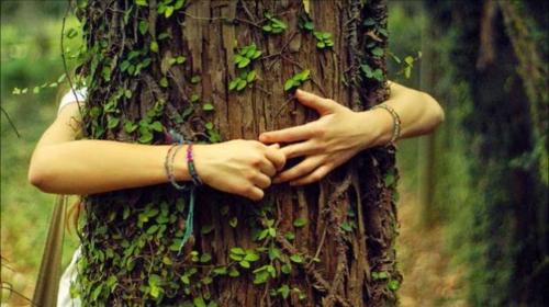 El arte de abrazar &aacute;rboles para calmar el dolor s&iacute; existe