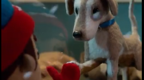 Video conmueve las redes con tierno mensaje de amor