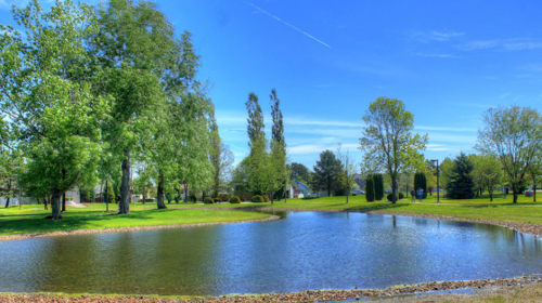 &iquest;Un muro o un estanque? La ilusi&oacute;n &oacute;ptica que se hace viral 