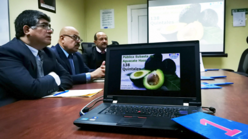 Los aguacates Hass de Otto P&eacute;rez Molina que nadie quiere