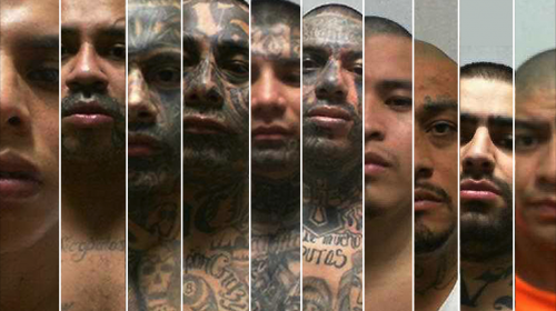 ¿Es buena idea calificar a los mareros como terroristas?