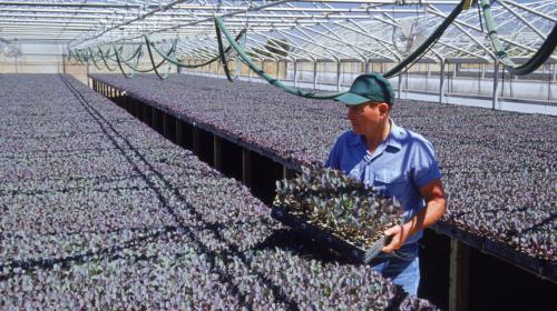 &iquest;Quieres trabajar unos meses en EE.UU.? As&iacute; puedes aplicar a la visa