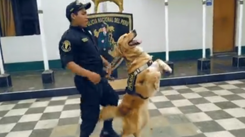Por esta raz&oacute;n la Polic&iacute;a de Per&uacute; hizo el reto "Scooby Doo pa pa"