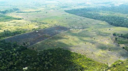 Entre fuego y balas, as&iacute; se recupera terreno en la Bi&oacute;sfera Maya
