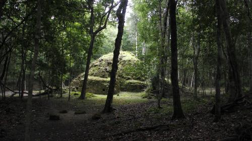 Ocho datos que reveló el documental de NatGeo sobre los mayas