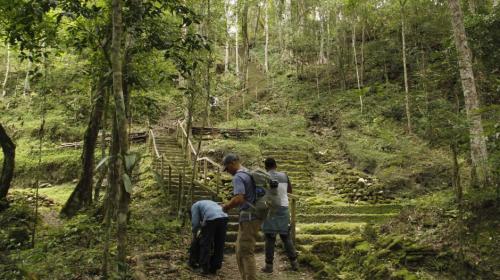 Así reaccionaron los guatemaltecos tras hallazgos mayas en NatGeo