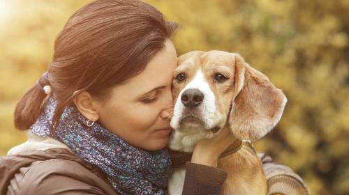 C&oacute;mo decir adi&oacute;s a tu mascota de una forma digna