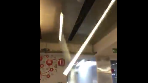 As&iacute; se vivi&oacute; el fuerte sismo que sacudi&oacute; a M&eacute;xico