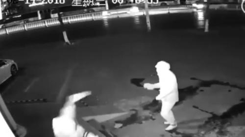 Los peores ladrones del mundo: el robo termin&oacute; por un ladrillazo