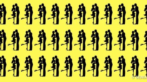 Reto visual: encuentra a la pareja diferente