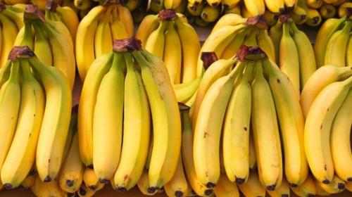 &iexcl;Alerta mundial! El pl&aacute;tano y el banano en peligro de extinci&oacute;n