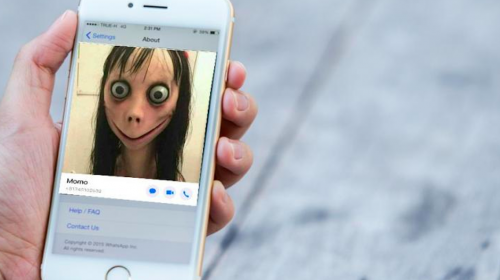 M&aacute;s all&aacute; del mito, esta es la raz&oacute;n para no escribirle a Momo