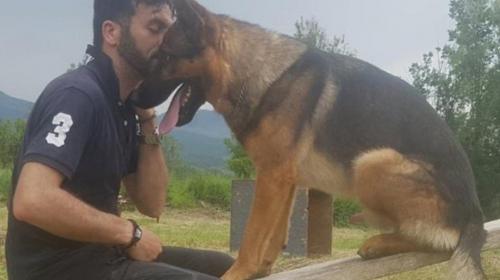 Envenenan a Kaos, un pastor alem&aacute;n h&eacute;roe en el terremoto de Italia