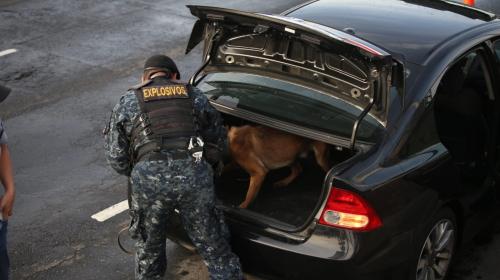 Con perros hasta en el baúl, así revisa los carros la PNC
