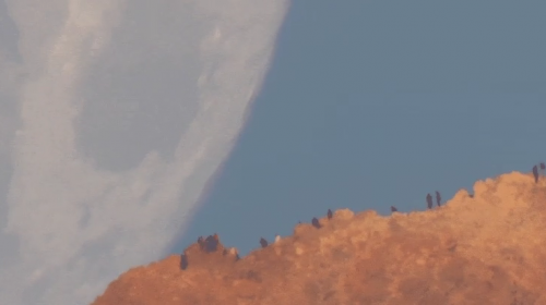 Video de la gigantesca luna acerc&aacute;ndose a la tierra se hace viral 