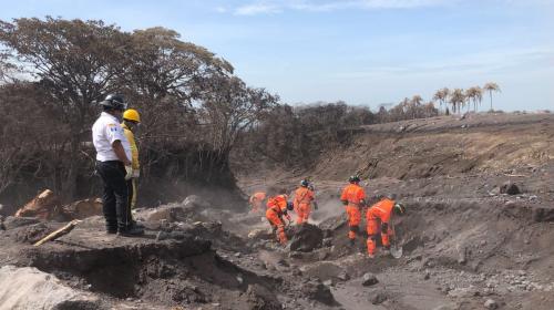 Perro que pertenecía a bombero desparecido acompaña las búsquedas