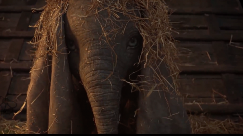 El primer tr&aacute;iler de la pel&iacute;cula realista de Dumbo, m&iacute;ralo aqu&iacute;: