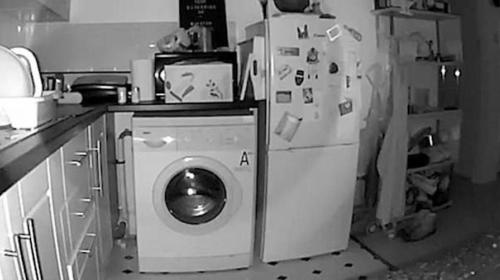 Escuchaban ruidos extra&ntilde;os, instalaron un c&aacute;mara y el resultado aterra