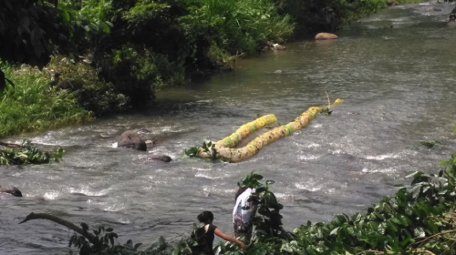 Roban lazo de una biobarda artesanal construida por estudiantes