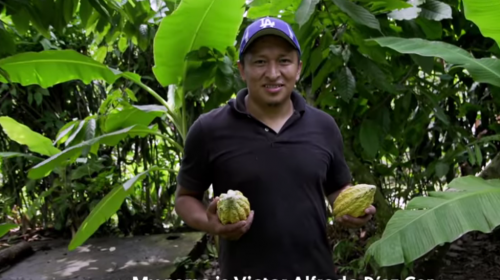 Tradicional chocolate guatemalteco se hizo viral en EE.UU por un video