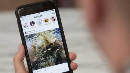 &iquest;Por qu&eacute; eliminaron los GIFs de Instagram y Snapchat?