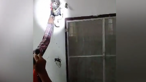 Espeluznante: hallan una enorme serpiente escondida en la pared