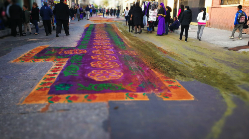 Conductor destruye alfombra en zona 1 y genera indignaci&oacute;n en redes